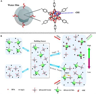 Metal Organic Frame-Upconverting Nanoparticle Assemblies for the FRET Based Sensor Detection of Bisphenol A in High-Salt Foods